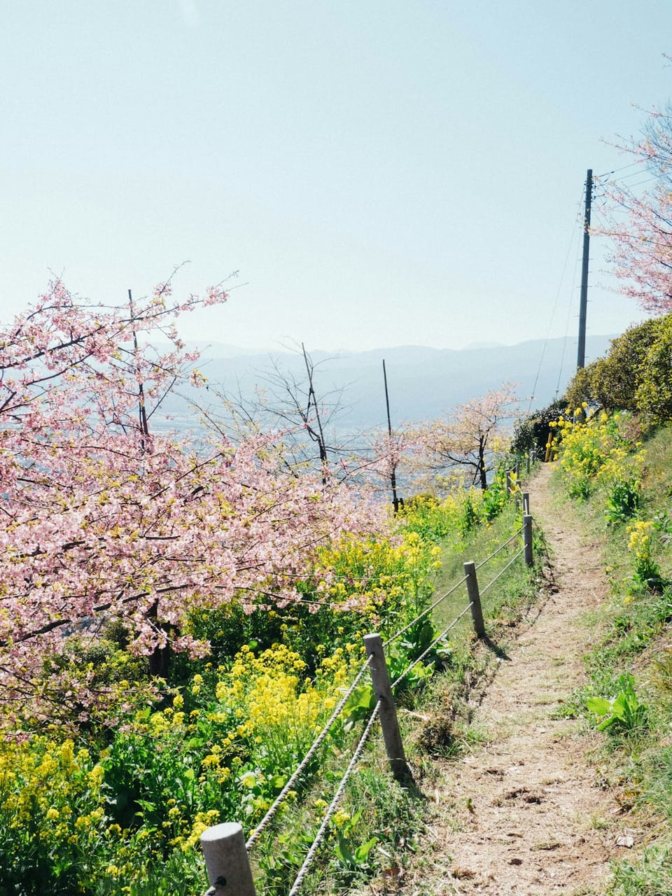 Outbreak Outlook - South - Mar 10