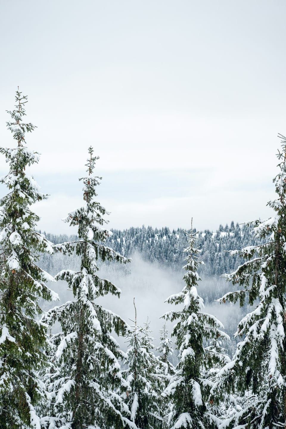 Outbreak Outlook - West - Jan 20