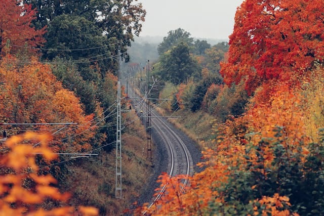 Outbreak Outlook - Midwest - Nov 11
