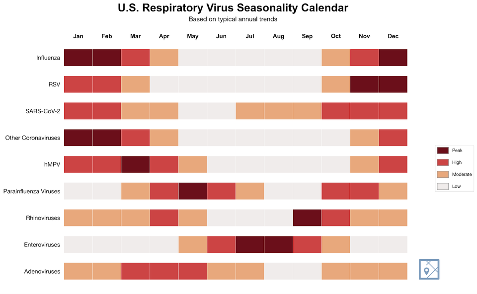 Viruses we don't test for